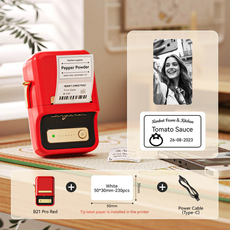 Niimbot B21 Pro 300DPI Bluetooth Label Maker Red & Black Printing Photo Printer for Study Notes, Scrapbooking