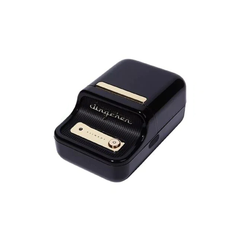 Niimbot B21 PRO Black & White Photo Thermal Label Printer