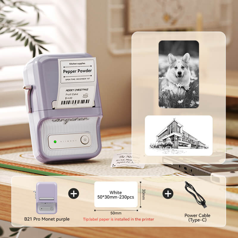 NIIMBOT B21 Pro 300DPI HD 2-Inch Bluetooth Label Printer, Red & Black Text Options