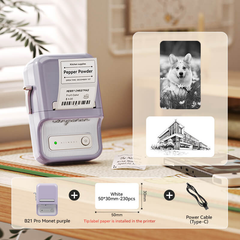 NIIMBOT B21 Pro 300DPI HD 2-Inch Bluetooth Label Printer, Red & Black Text Options