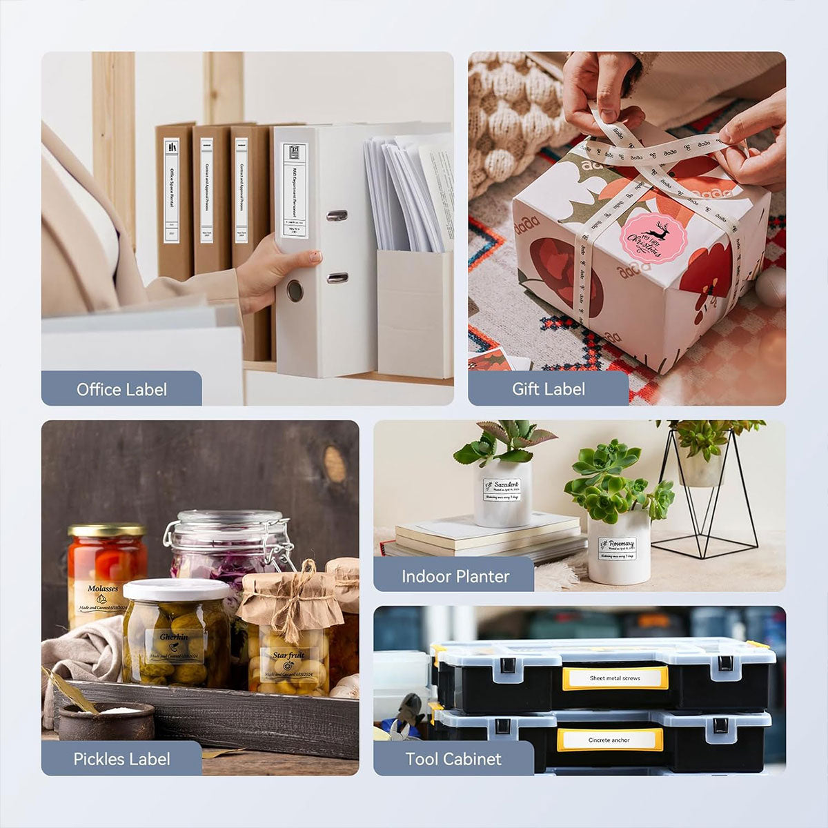 Niimbot B31 Thermal Label Printer Multicolor Maker for Small Business, Kitchen Organization & Shipping Labels